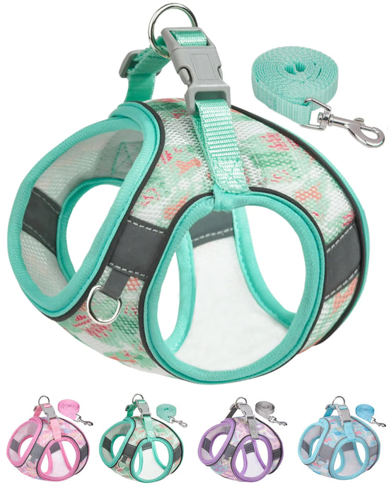 Aecllcea Dog Harness for Small Medium Dogs No Pull Cat Harness and Leash Set Puppy Harness for Small Dogs Xs Dog Harness Step in Dog Harness Harness and Leash for Small Dogs. (Green M)