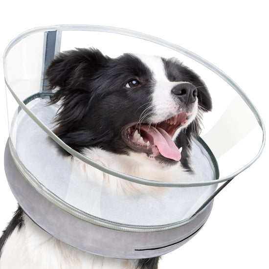 Inflatable Dog Cone Collar Alternative - EzKamfort Soft Dog Cone for Dogs After Surgery 2-in-1 Dog Recovery Collar with Detachable Shield to Stop Licking Dog Donut Cone for Small Medium Large Dogs
