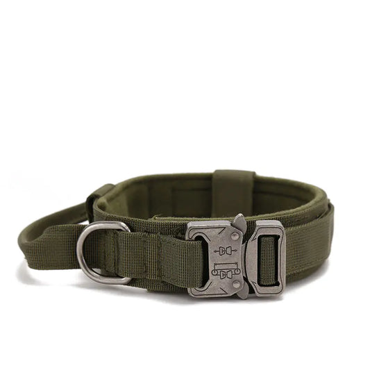 Adjustable Quick Release Training Collar for Pets